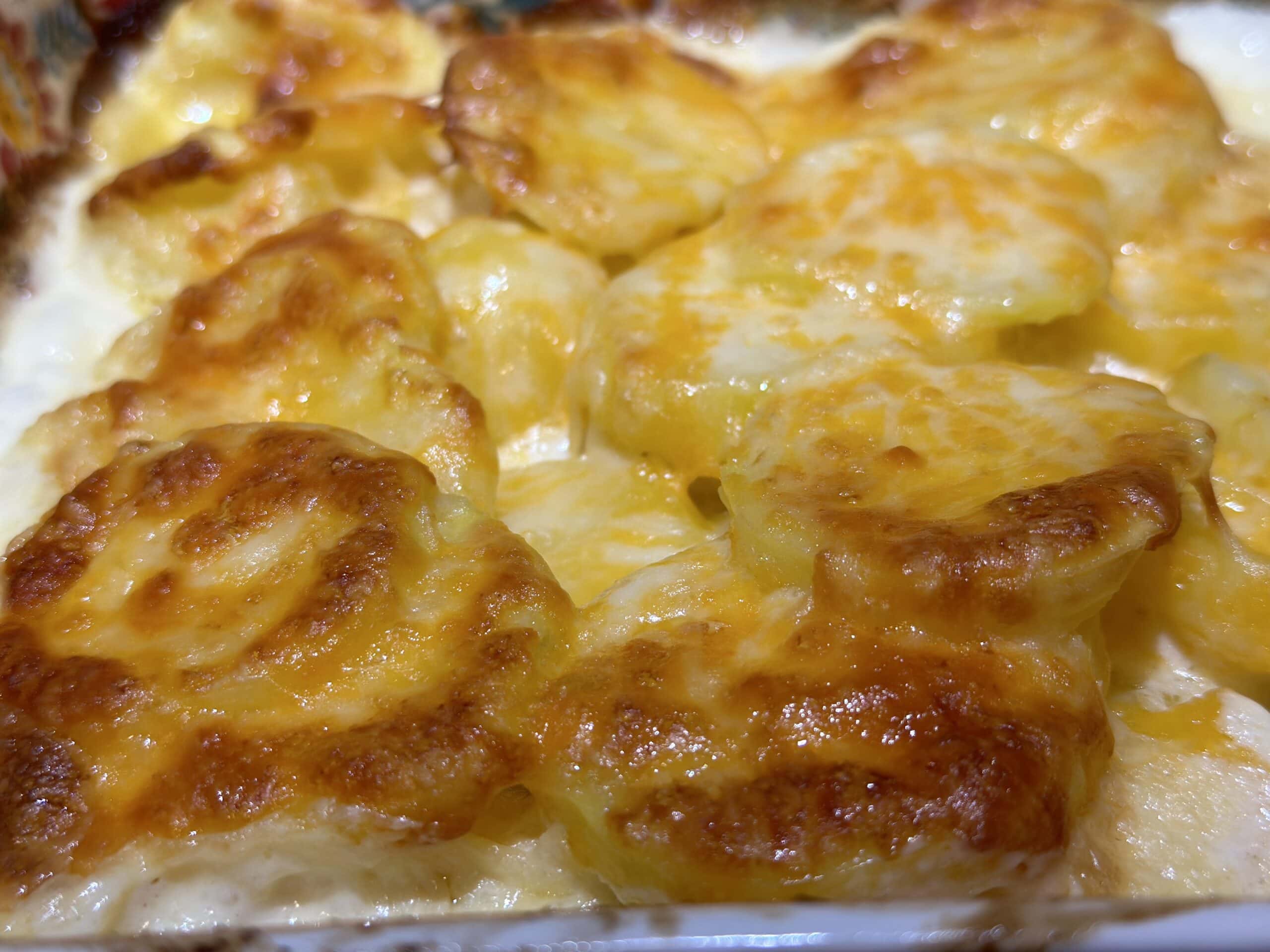 Potato Gratin